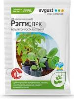 Без названия (86)