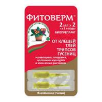 Без названия (5)