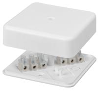 Снимок экрана_3-10-2025_104446_tdme.ru