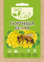 Снимок экрана_16-7-2025_165730_ya.ru