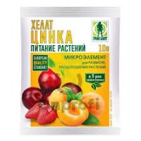 Без названия (62)