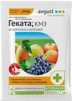 Без названия (88)